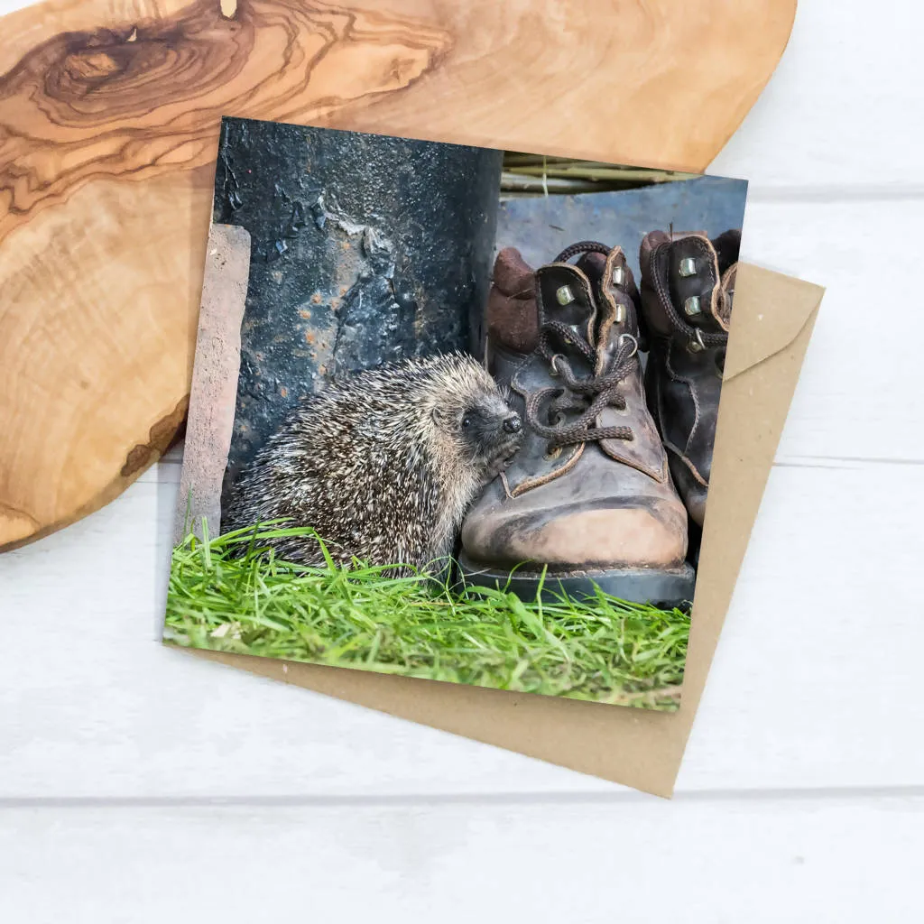 Hedgehog and Old Boots Greeting Card