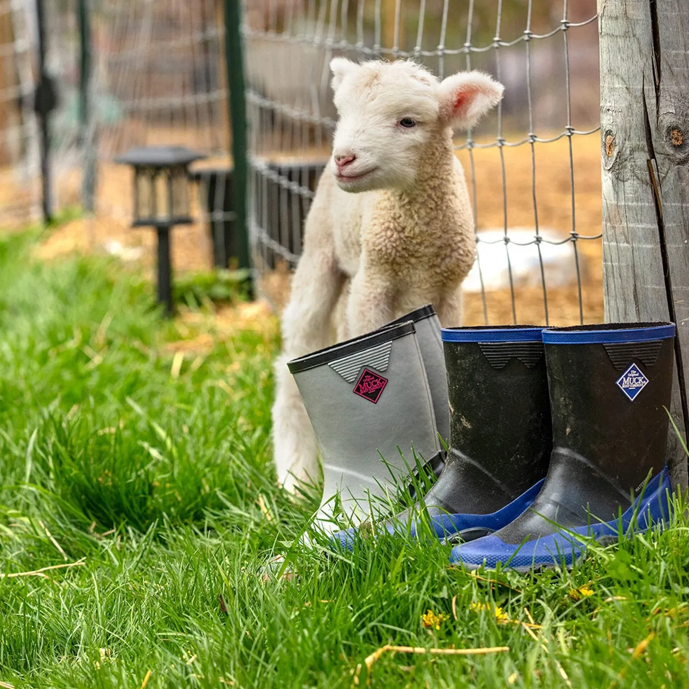 Kids' Forager Tall Boots